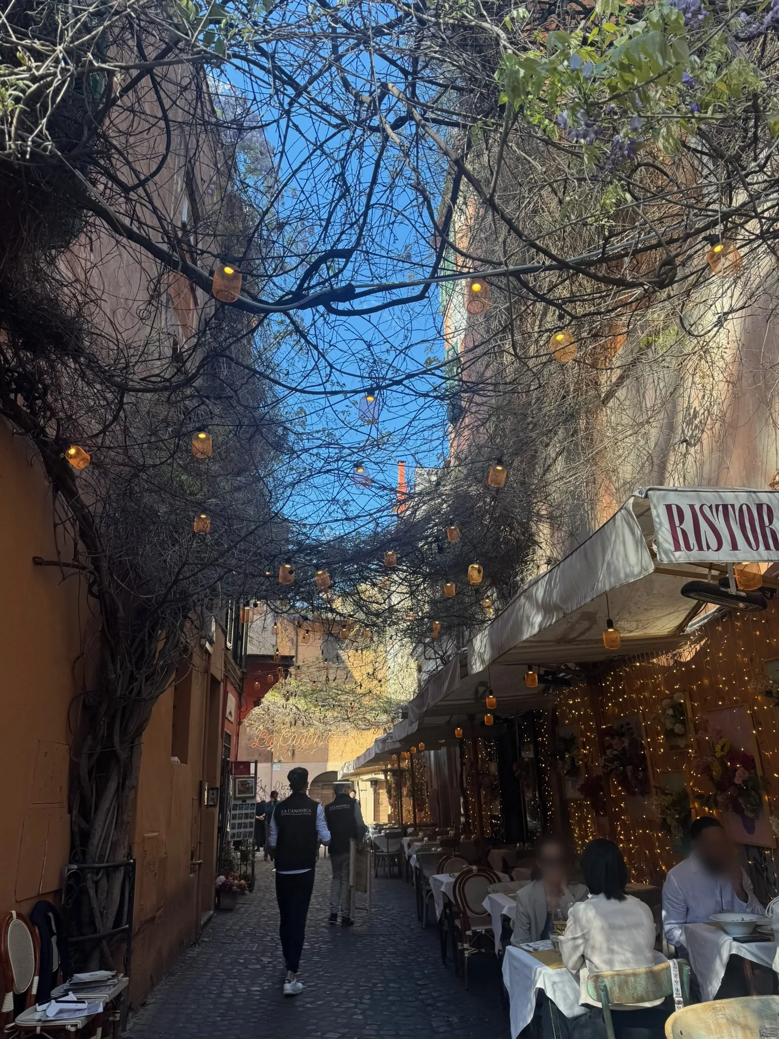 Callejón de Trastevere en Roma con terraza de trattoria, mesas vestidas y farolillos colgados entre la glicinia